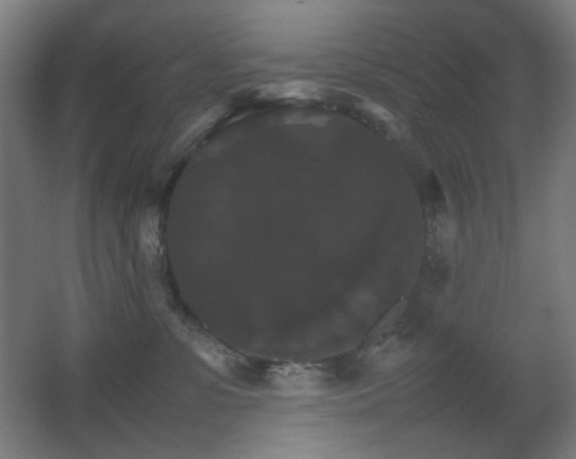 X0000067890331200604131335