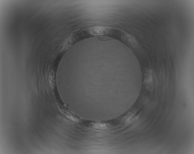 X0000067890332200604131335