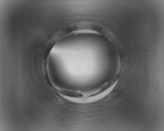 X0000067890333200604131335