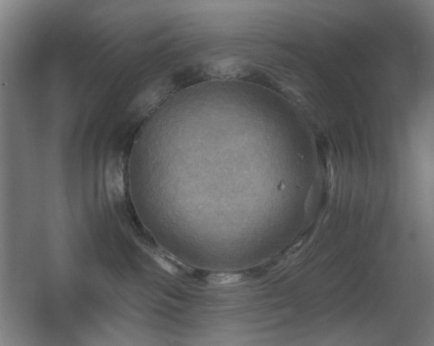 X0000067890334200604131335