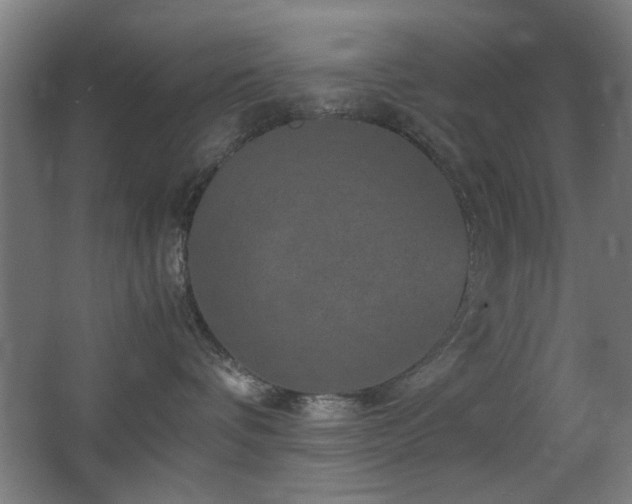 X0000067890336200604131335