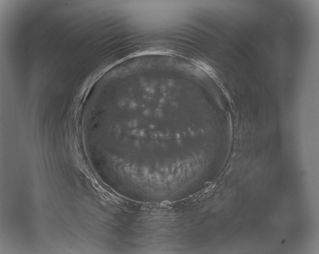 X0000067890337200604131334