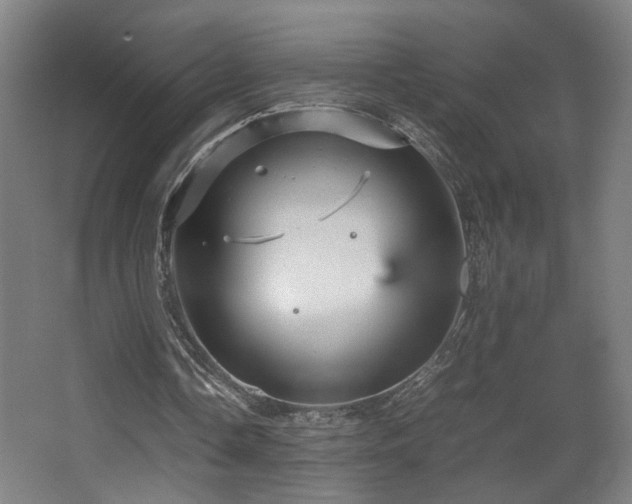 X0000067890338200604131334