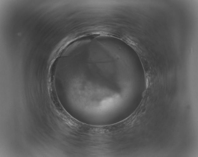 X0000067890339200604131334