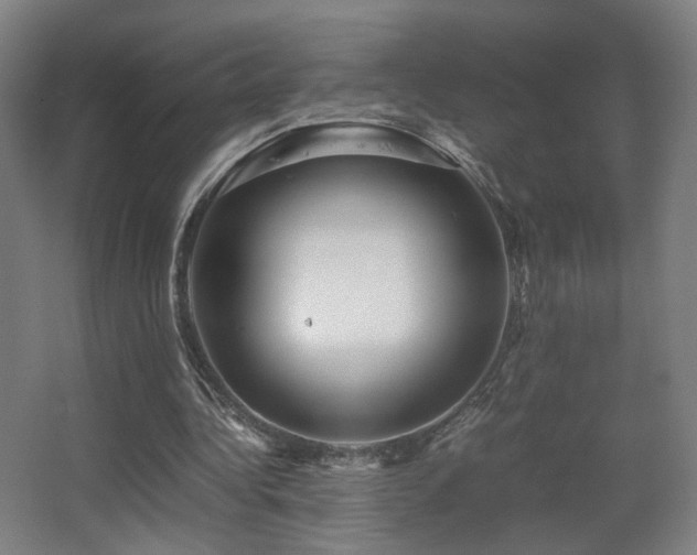 X0000067890340200604131334