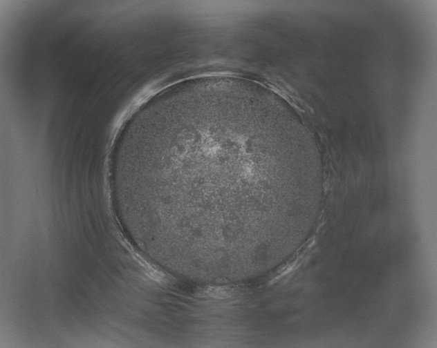 X0000067890341200604131334