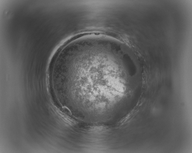 X0000067890342200604131334