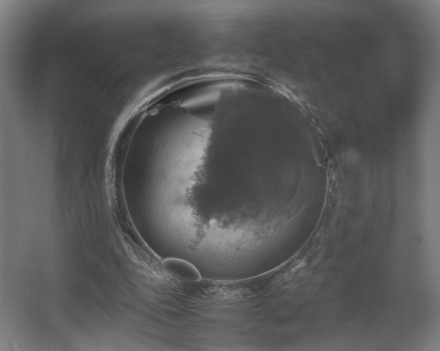 X0000067890343200604131334