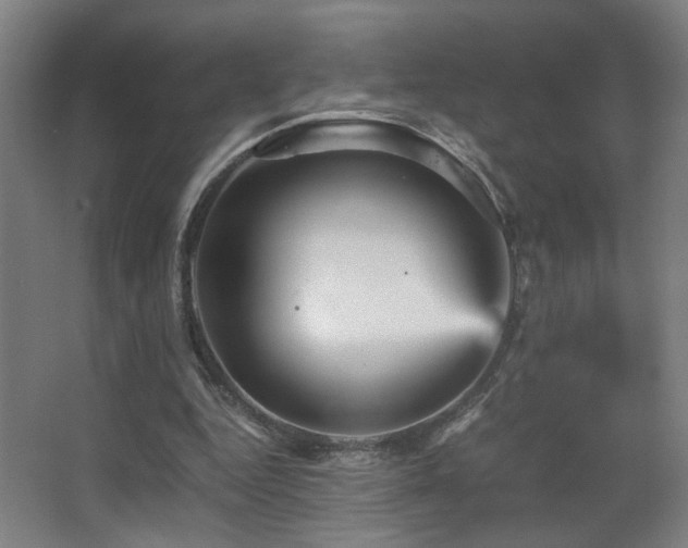 X0000067890344200604131334