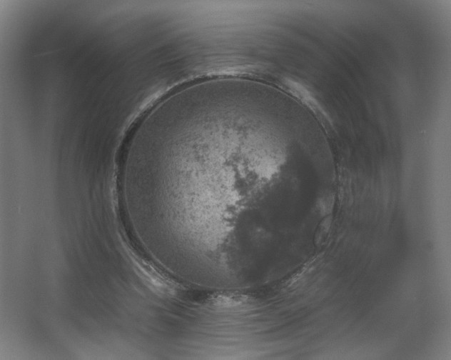 X0000067890346200604131334