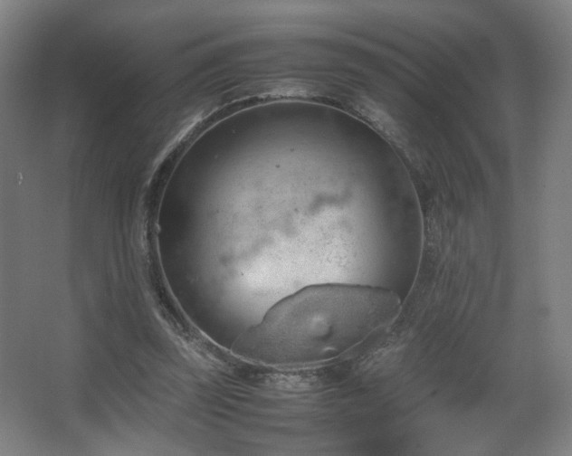 X0000067890347200604131334