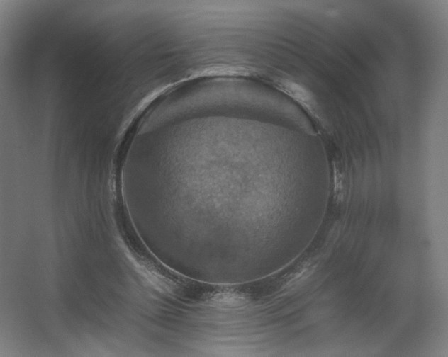 X0000067890348200604131334