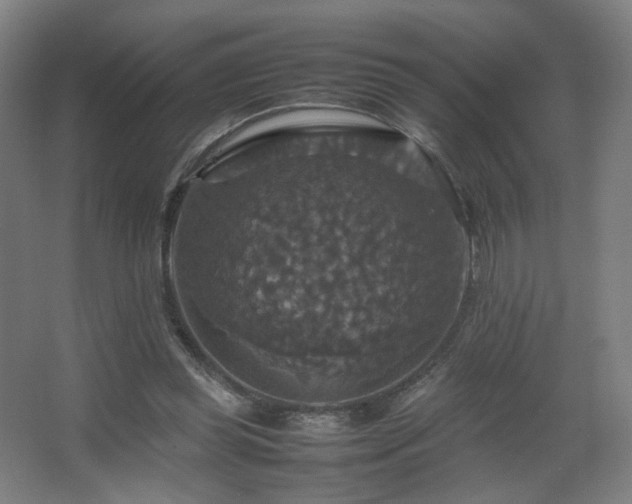 X0000067890349200604131334