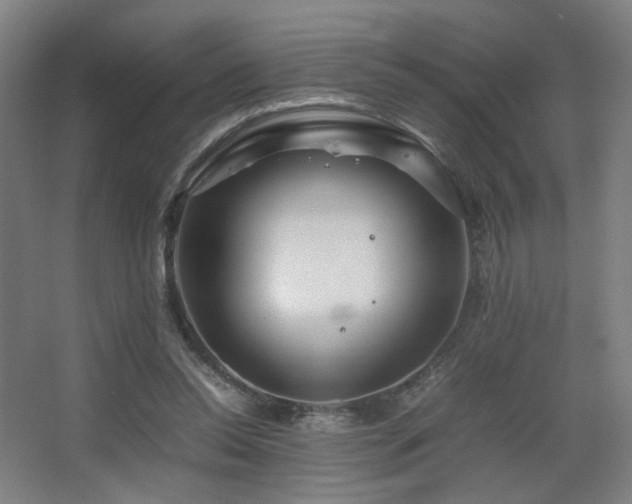 X0000067890350200604131334