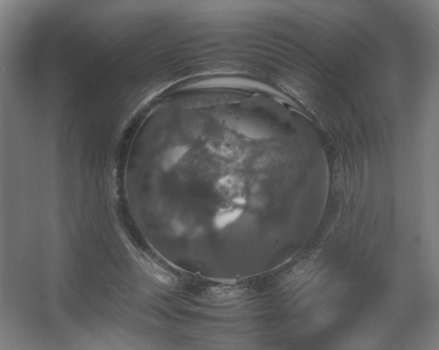 X0000067890351200604131334