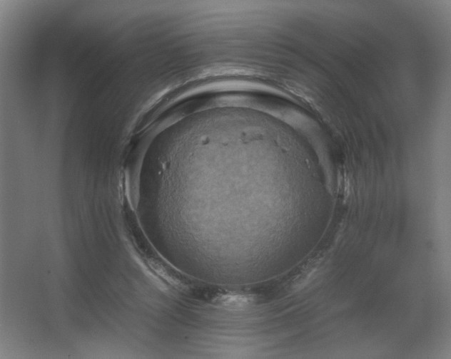 X0000067890352200604131334