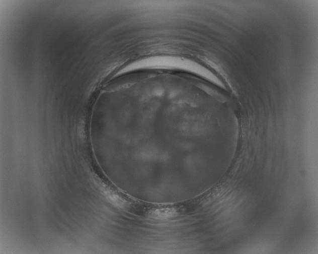 X0000067890353200604131334