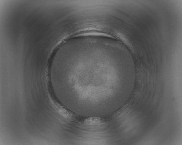 X0000067890354200604131334