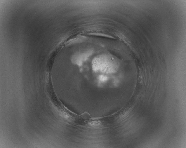 X0000067890355200604131334