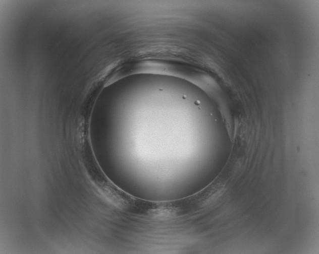 X0000067890356200604131334