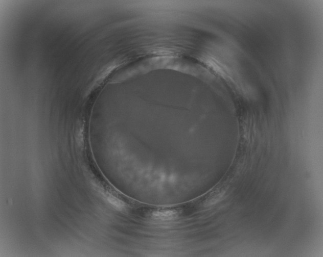 X0000067890357200604131334