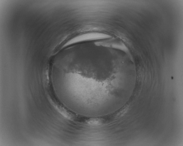 X0000067890358200604131334