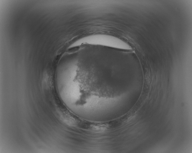 X0000067890359200604131334