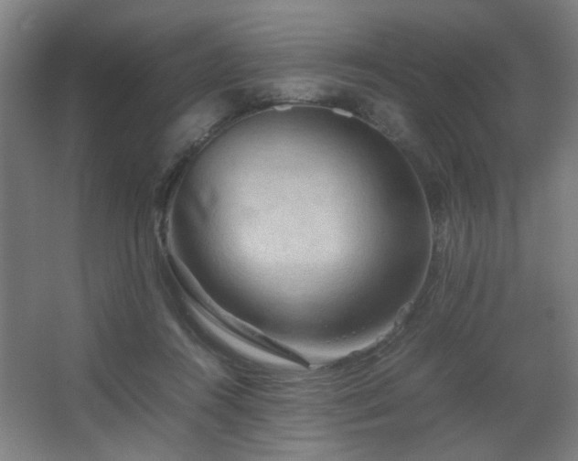 X0000067890360200604131334