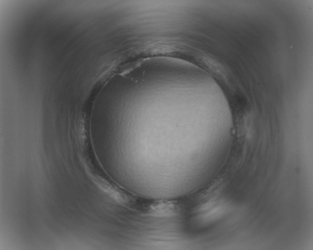 X0000067890362200604131334