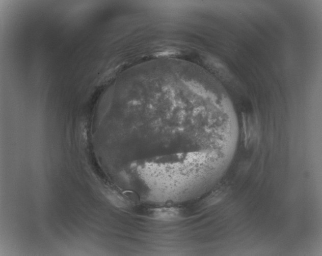 X0000067890363200604131334