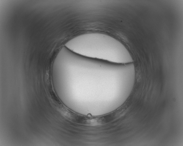 X0000067890365200604131334