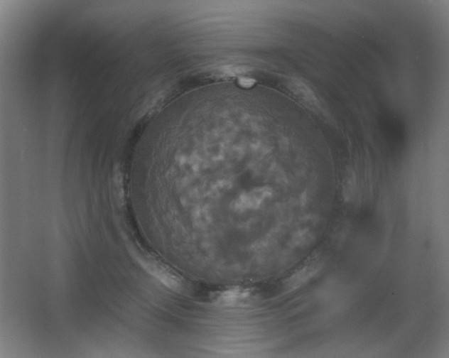 X0000067890366200604131334