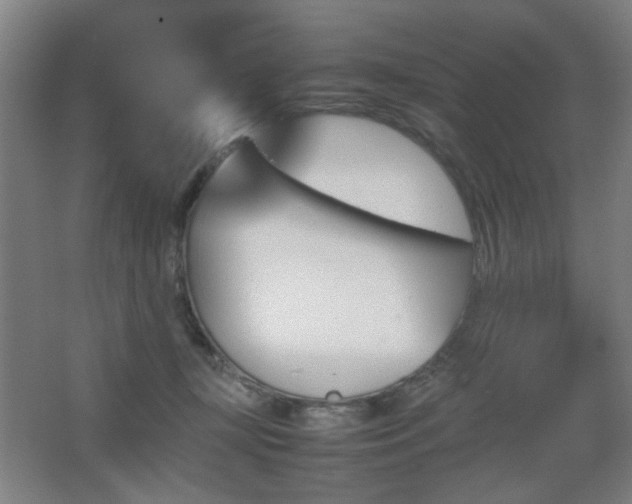 X0000067890367200604131334