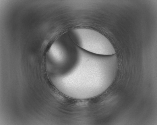 X0000067890369200604131334