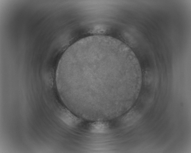 X0000067890370200604131334