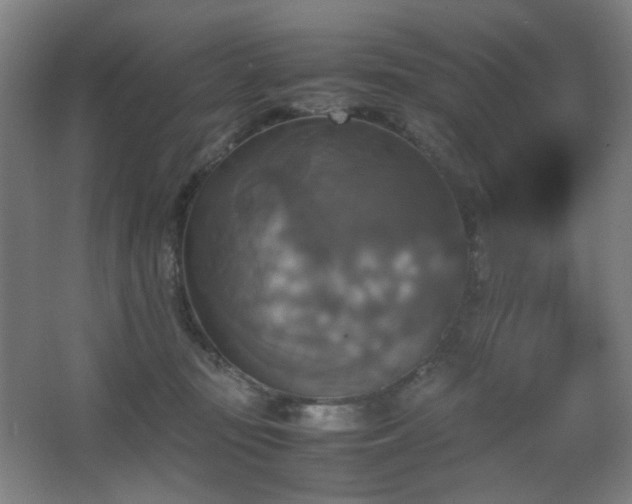 X0000067890371200604131334