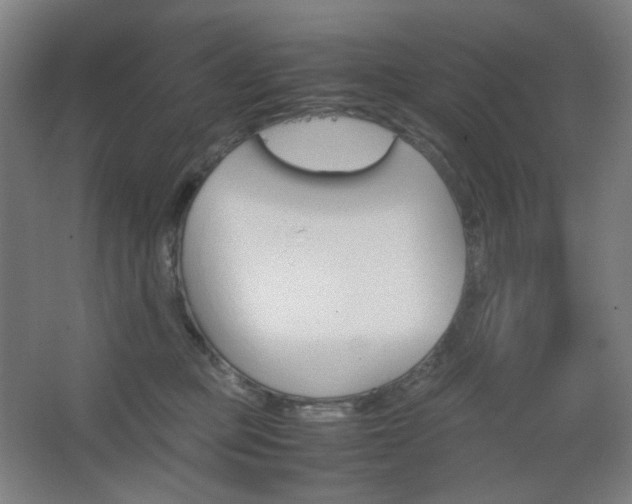 X0000067890373200604131334