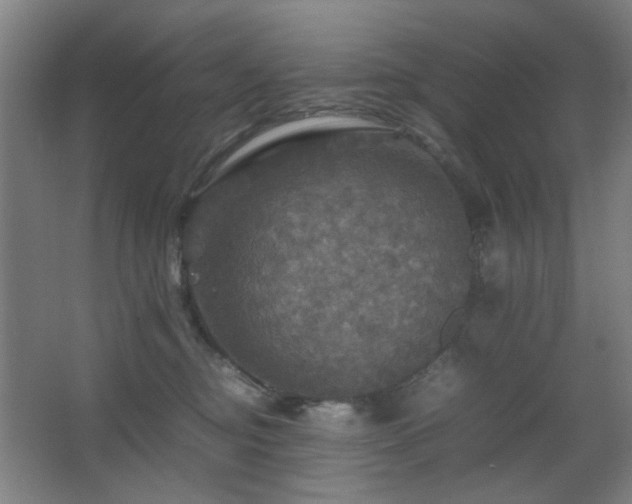 X0000067890374200604131334