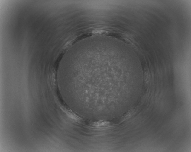 X0000067890375200604131334