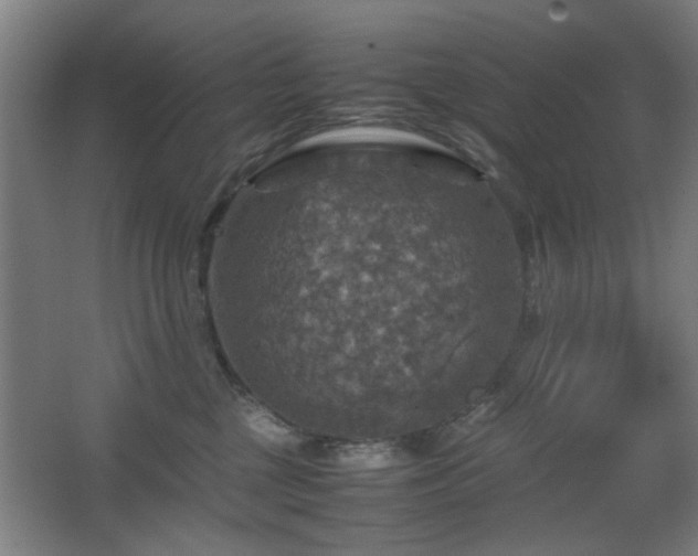 X0000067890377200604131335