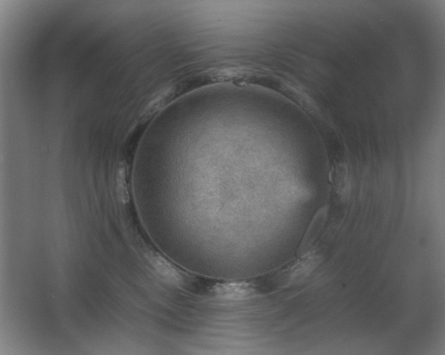 X0000067890378200604131335