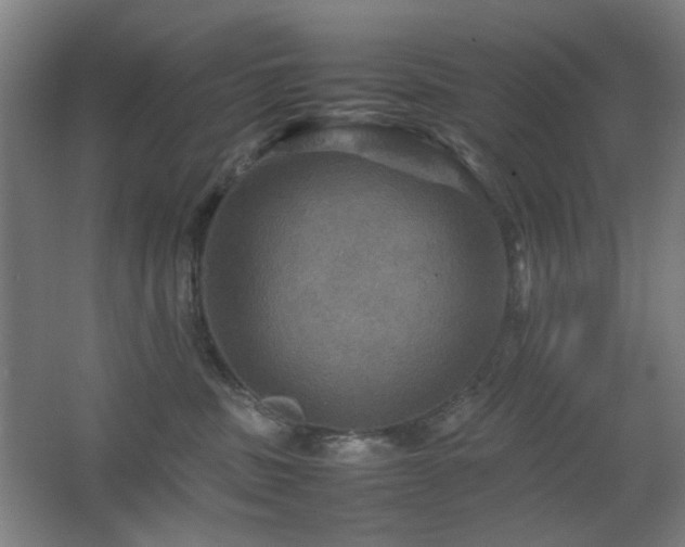 X0000067890379200604131335