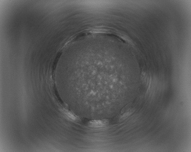 X0000067890381200604131335