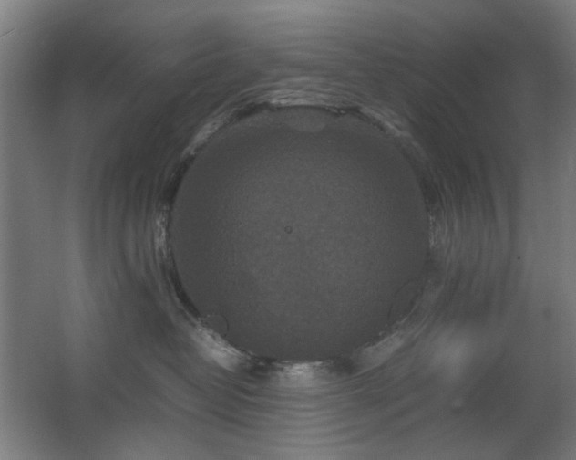 X0000067890382200604131335