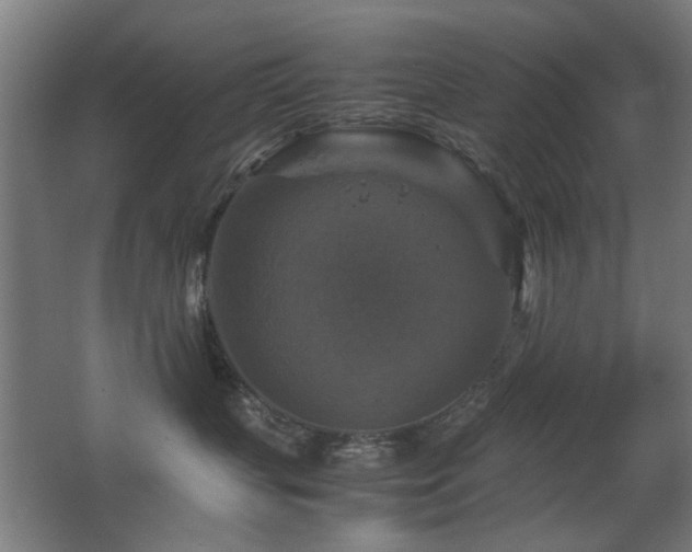 X0000067890383200604131335