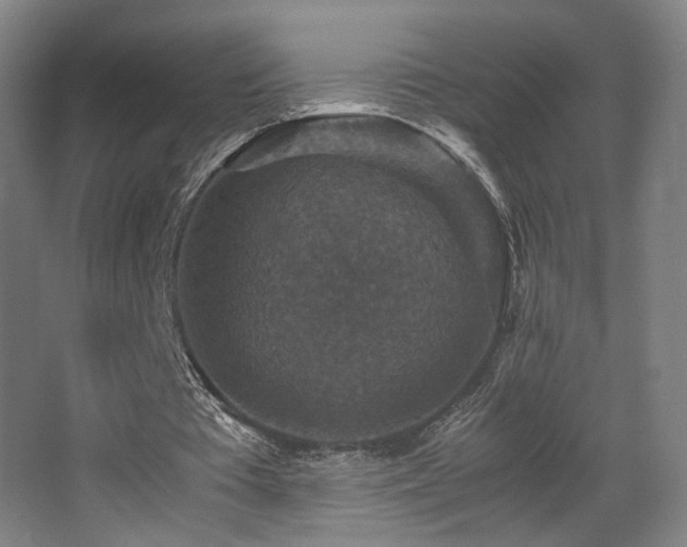 X0000067890385200604131334