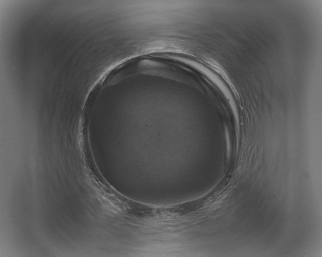 X0000067890387200604131334