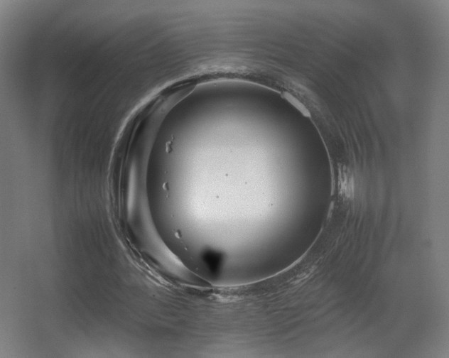 X0000067890388200604131334