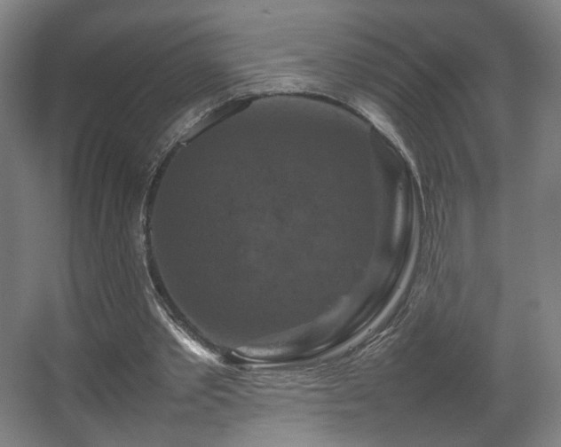 X0000067890389200604131334