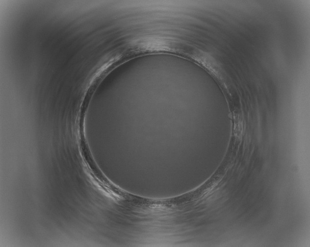 X0000067890390200604131334